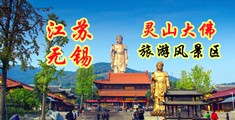 鉴黄师鸡鸡捅鸡鸡姬小满奖励其他英雄的视频江苏无锡灵山大佛旅游风景区